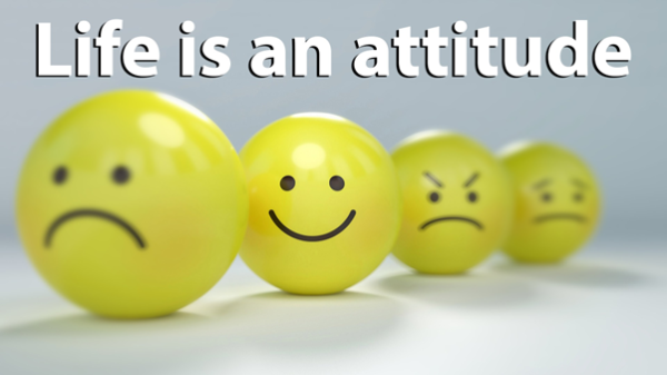 4697567a1ea78f3ace52d006c1bb4bea_1739787954_3456.png